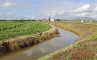 Agricoltura conservativa. Gli eventi in programma per il 2024