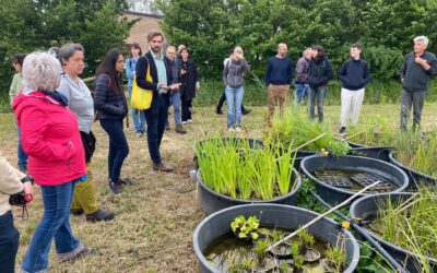 Infrastrutture Verdi-Blu per la Mitigazione del Cambiamento Climatico e la Conservazione della Biodiversità ad Argenta, 15 maggio 2024