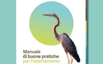 Manuale di buone pratiche per l’adattamento ai cambiamenti climatici