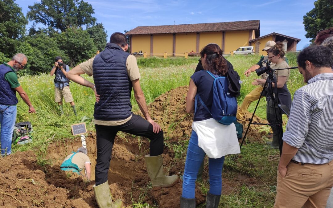 Innovazione Agricola per il Clima e l’Ambiente: Il Caso Studio di Cascina Romanengo di Capriata d’Orba