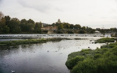 SAVE THE DATE | River Café a Torino, 11 novembre: dialoghi a Palazzo Madama per il trentennale dell’alluvione del Tanaro