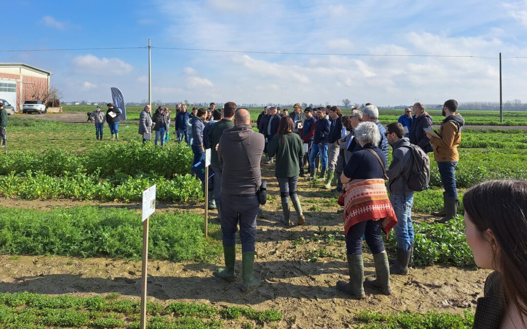 Giornata dimostrativa alla scoperta delle cover crops, presso l’azienda agricola Pareti Stefano di Sale (AL) 
