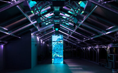 Art for radical ecologies (manifesto) + ETEROTOPIA